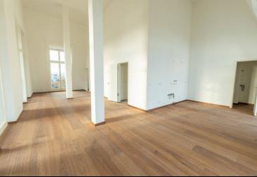 Erstbezug im Neubau - Loft und 2 Zimmerwohnung in Einem!