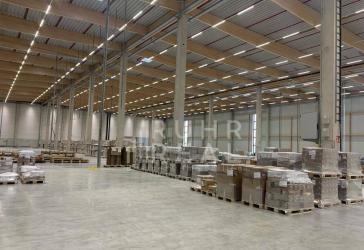 RR: Neuwertige Produktions-/Logistikimmobilie | 40 Rampentore | Sprinkler | hervorragende Lage