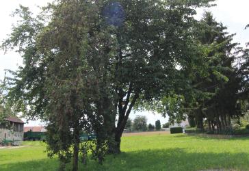 FÜR DIE KLEINE FAMILIE, ETWAS RUHIGES
