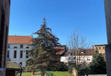 Gemütliche 3-Zimmer-Wohnung in Köthen (Anhalt) mit Zentraler Lage