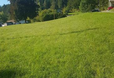 Vorschaubild Grundstück