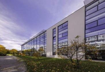 Modernes Büro mit Dachterrasse in der Parkstadt Schwabing