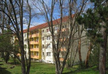 WSF: Guter Zuschnitt, ruhig, mit Balkon, Stellpl. möglich