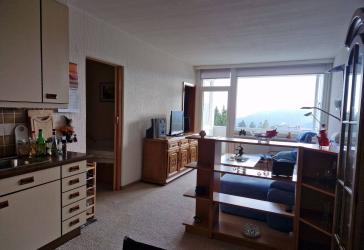 Appartement im Ferienpark Hahnenklee