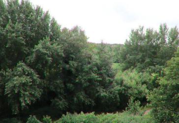 Terrassenwohnung mit Kurparkblick