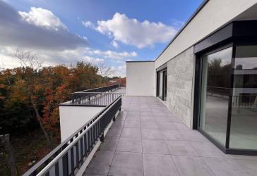 NEUBAU-PENTHOUSE mit XXL-DACHTERRASSE | Auenwaldblick & Stadionnähe | Kamin | 3 TG-Stellplätze