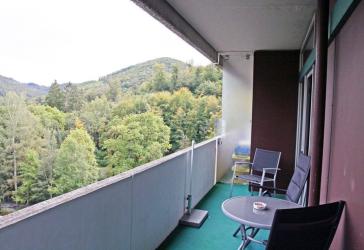 Traumhafter Blick, in Bad Harzburg nähe Kurpark, Topp 2 Zimmer Wohnung