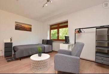 Hell möbliertes 1-Zimmerapartment in Höchberg mit Balkon