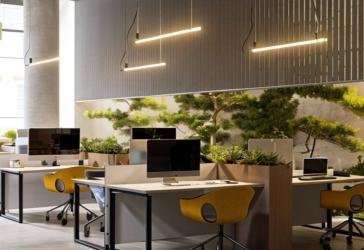 Vorschaubild Büro- /Praxis-Immobilie