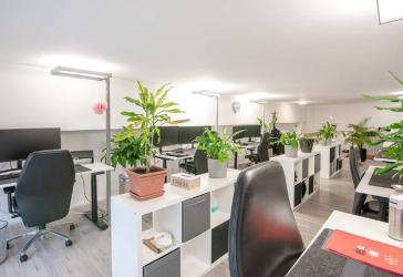 Vorschaubild Büro- /Praxis-Immobilie