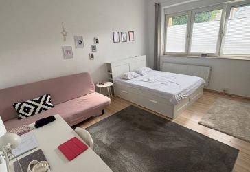 Kleines Schmuckstück 1 Zi. Steinbühl
