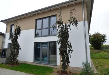 ERSTBEZUG / NEUBAU / 1. OG