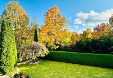 Lage! Lage! Ruhig, sonnig, zentrumsnah und doch Natur pur! Gepflegtes Einfamilienhaus in Traunreut