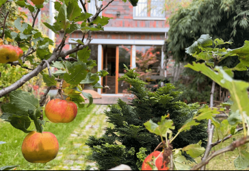 2in1 - Townhouse mit separatem Apartment an der Rummelsburger Bucht