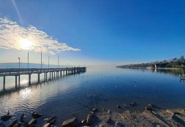 In 2 Minuten am See - Top-Anlage im Herzen der Stadt