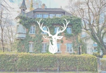 Vorschaubild Villa