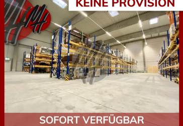 RAMPE + EBEN - Lagerflächen (2.800 m²) & Büroflächen (300-800 m²) zu vermieten