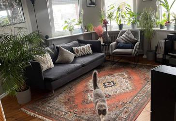 Vorschaubild Maisonettewohnung