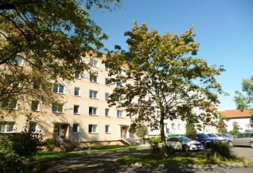 1. Kaltmiete frei ! - Geräumige und frisch renovierte 3-Zimmer-Wohnung in Bad Düben