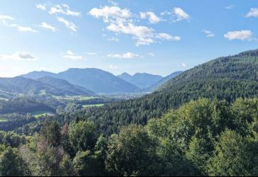 Vorschaubild Bauernhaus