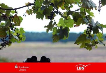 Vorschaubild Grundstück