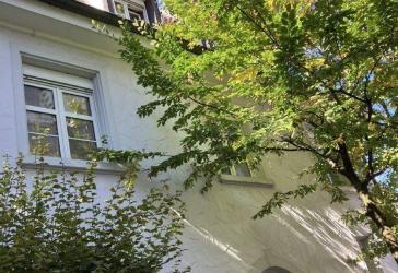 Besondere Doppelhaushälfte im Zentrum von Hilzingen