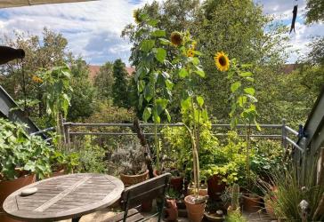 Ein Zuhause mit Charakter - Maisonette mit Dachterrasse und Wohlfühlatmosphäre