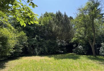 Bauplatz in Hummelsbüttel für Einzel-/Doppelhaus, alsternah & ruhig gelegen