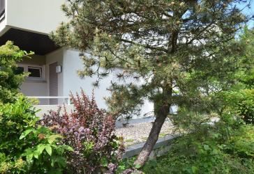 Vorschaubild Loft-Studio-Atelier