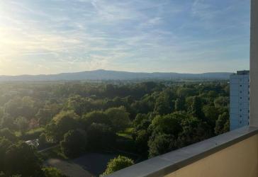 NEW/ Neu: 2 Zimmer in 6er Frauen WG/shared Flat im Herzen Frankfurts mit Ausblick auf den Taunus??