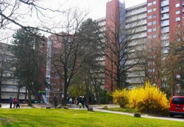 Nette Nachbarn gesucht: 3-Zimmer-Wohnung
