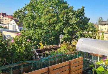 Attraktive 4 Zimmer-Wohnung mit Balkon in Frankenthal