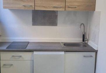 One Room Appartment with Toilette, Shower, Kitchen etc inside