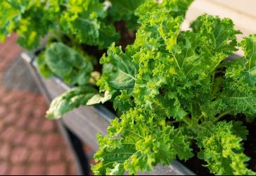 Ankommen. Aufatmen. Draußen leben. Exklusive Gartenwohnung - Komfort mit Freiraum