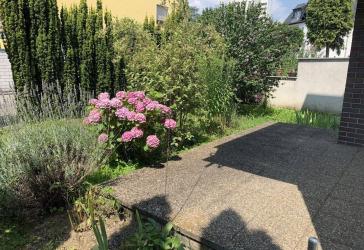lichtdurchflutete 2-Zimmerwohnung mit Terrasse, Stadtteil Niederursel