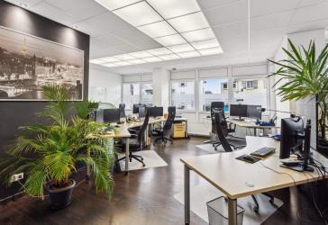 Vorschaubild Büro- /Praxis-Immobilie