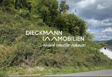 Vorschaubild Grundstück