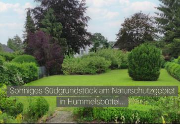 Sonniges Südgrundstück direkt am Naturschutzgebiet