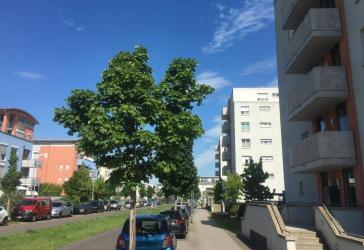 Sicher ist sicher.. KAPITALANLAGE in Gonsenheim