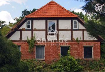 ***charmantes Bauernhaus mit Stall, Scheune und Weide***