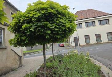 Vorschaubild Einfamilienhaus