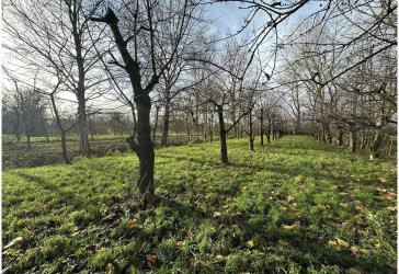 Bauland/Landwirtschaftliche Fläche in Engelschoff-Neuland