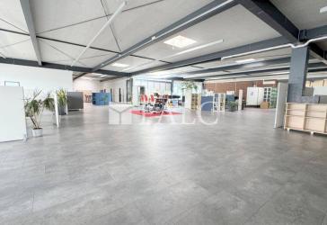 Vorschaubild Büro- /Praxis-Immobilie