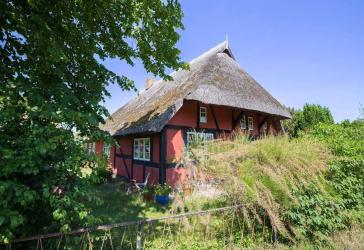 Historisches Fischlandhaus mit 2 kleinen Ferienhäusern