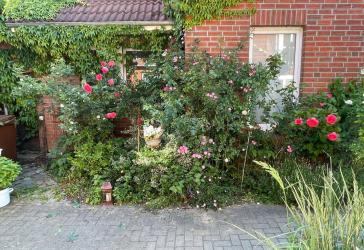 Vorschaubild Sonstiges Haus