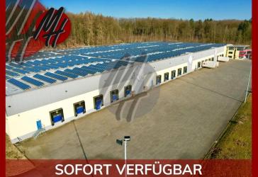 SCHNELL VERFÜGBAR - RAMPE + EBEN - Lagerflächen (10.000 m²) zu vermieten