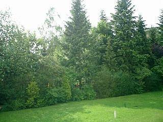 Attraktives Apartment mit schönem Blick ins Grüne ...