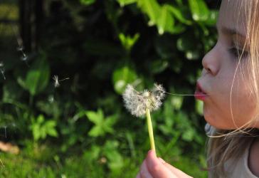 Wohnträume werden wahr - Schlüsselfertige Häuser von Bien-Zenker