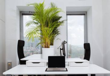 Vorschaubild Büro- /Praxis-Immobilie