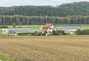Vorschaubild Sonstiges Haus